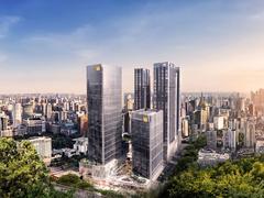 笋岗中心新房