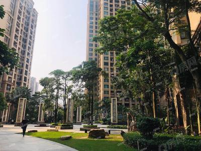 实景图