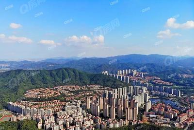 实景图