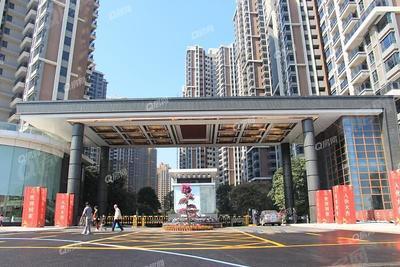 效果图