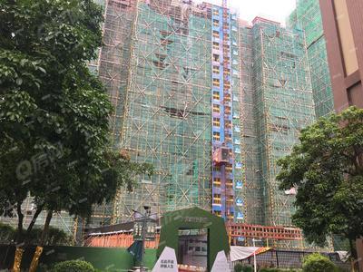 实景图