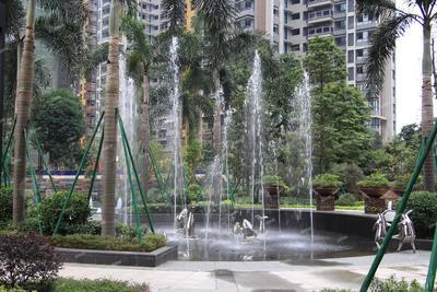 实景图