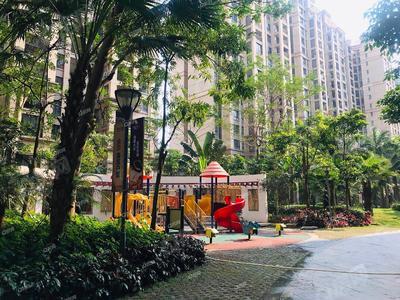 实景图