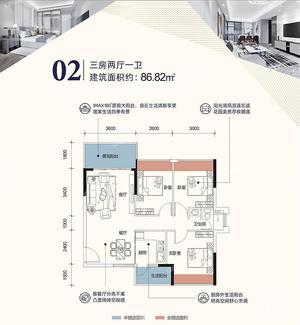 3室2厅 86㎡