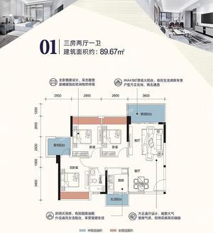 3室2厅 89㎡