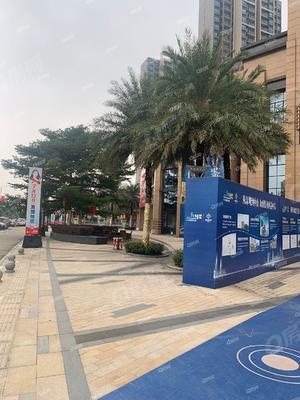 实景图