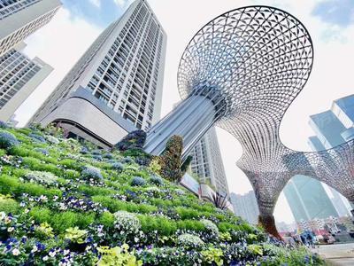 实景图