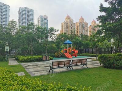 实景图