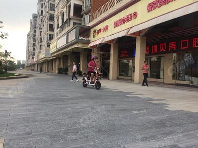 实景图