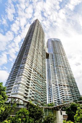 实景图