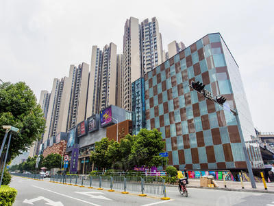 实景图