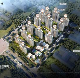 光合森林小区