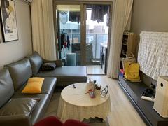 深业东岭二期 1室2厅52m²整租