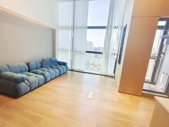双子湾 1室2厅64m²整租