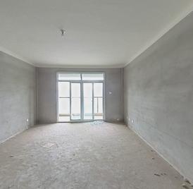 中央领域 2室2厅98.29m²毛坯