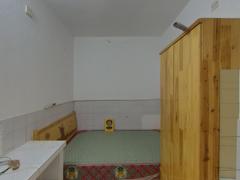 东苑新村 1室1厅30.54m²普通装修
