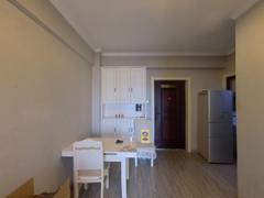望城公馆 1室1厅46.52m²精装修