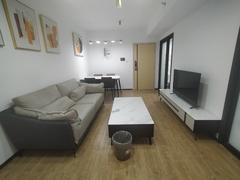 深业泰富广场 1室1厅49m²整租