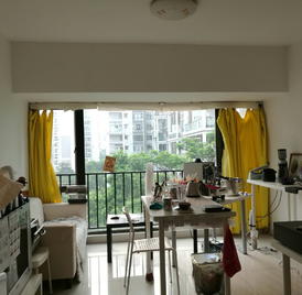 滨福广场 1室0厅39.23m²普通装修