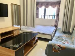 桐林城市广场 （新上）精装修 保养不错 南北通透 看房方便