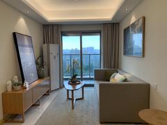 深业东岭二期 1室2厅53.33m²精装修