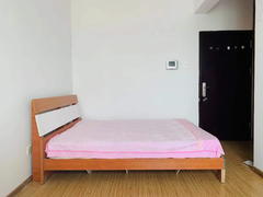 新德家园 1室0厅29.14m²精装修