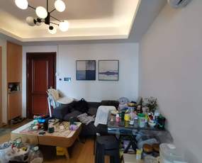 赛格eco中心租房