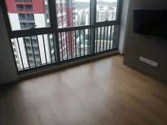 龙岗仁恒梦公园 1室1厅38m²整租