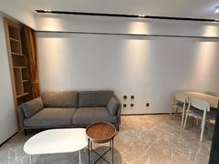 世茂深港国际中心 1室2厅60m²整租