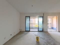 新华九龙首府 4室2厅120.5m²毛坯