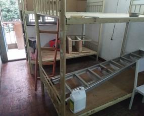 高嘉花园租房