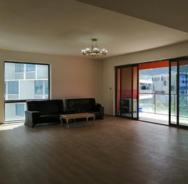 中通水岸 5室2厅262.75m²整租