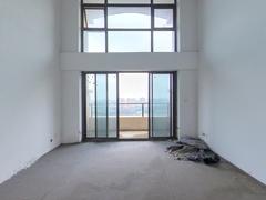融湖中心城 9室3厅236.72m²满五唯一