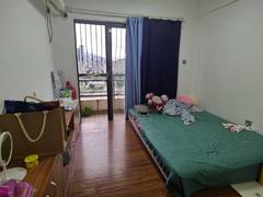 时尚新居 1室0厅33m²整租