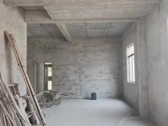 三乡自建房 1室0厅295.18m²毛坯