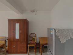 东苑新村 1室1厅33.3m²普通装修