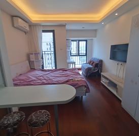 万科红三期 1室0厅30.78m²精装修