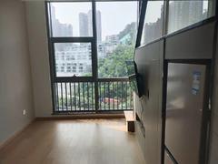 龙岗仁恒梦公园 1室1厅 深中学校旁,复试精装公寓,业主诚心出租