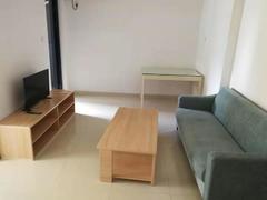 大冲新城花园C区 南山科技园地铁一号线高新园站旁边1室1厅整租