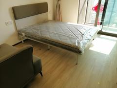 华润置地未来城 1室0厅39m²整租