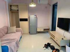 大冲新城花园C区 （新上）精装修 保养不错 南北通透 看房方便