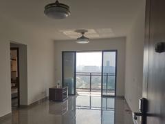 乐城 3室2厅88.16m²精装修