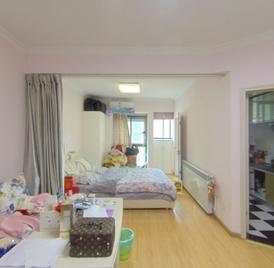 安粮城市广场 1室1厅54m²精装修