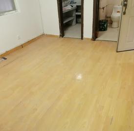 笋岗大厦 1室1厅48m²整租