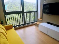 龙岗仁恒梦公园 1室1厅28m²整租