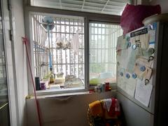 东方新世界C区 1室1厅33.05m²普通装修