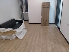 深业泰富广场 1室1厅50m²整租