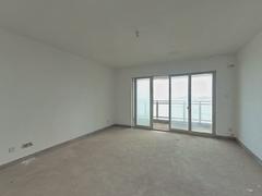 每一间花园 3室2厅169.31m²满五唯一