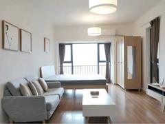风临国际 1室1厅40.16m²整租