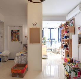 典雅居 1室1厅45.25m²整租